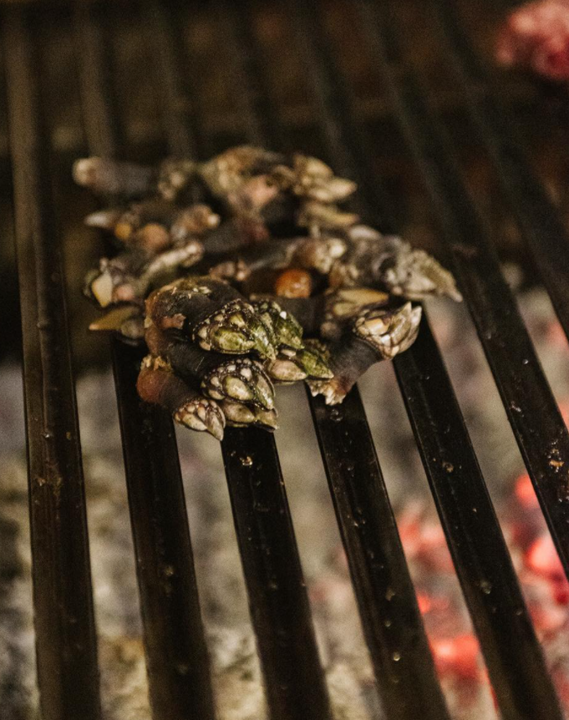 Percebes a la brasa